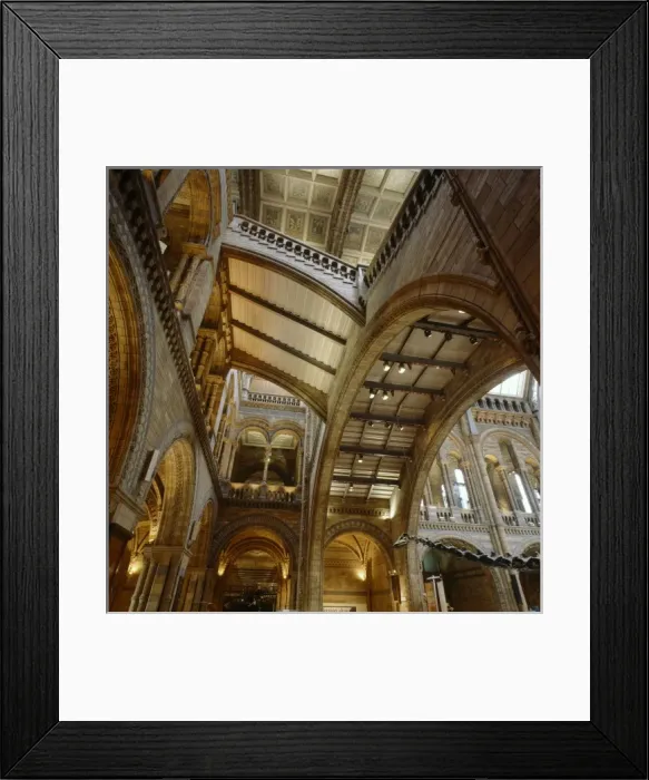Framed Print : The Natural History Museums Central Hall Framed Print : The Natural History Museums Central Hall