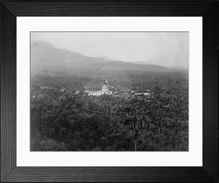 Framed Print : Distant tower seen over palm trees. Fiji Framed Print : Distant tower seen over palm trees. Fiji