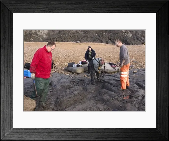 Framed Print : Excavating at Charmouth Framed Print : Excavating at Charmouth
