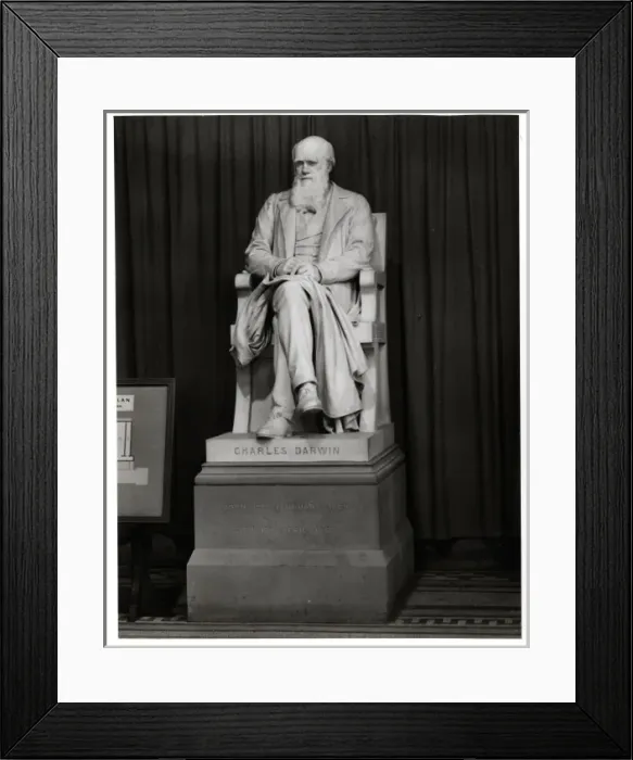 Framed Print : Charles Robert Darwin (1809-1881) Framed Print : Charles Robert Darwin (1809-1881)