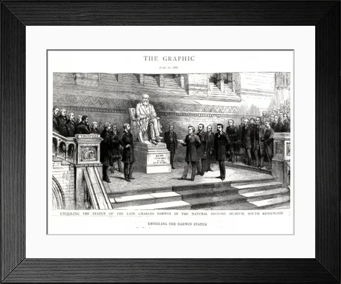 Framed Print : Charles Robert Darwin (1809-1882) Framed Print : Charles Robert Darwin (1809-1882)