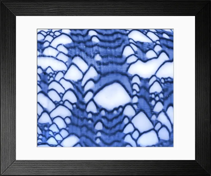 Framed Print : Conus textile, textile cone Framed Print : Conus textile, textile cone