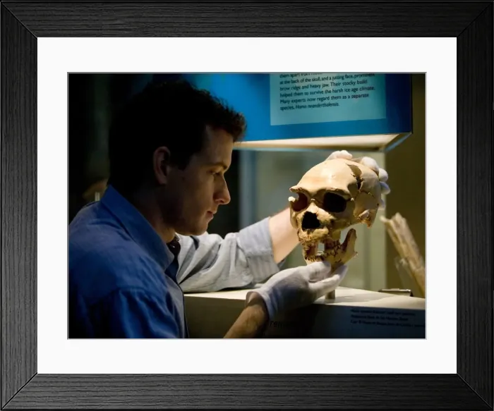 Framed Print : Homo neanderthalensis, neandertal man Framed Print : Homo neanderthalensis, neandertal man