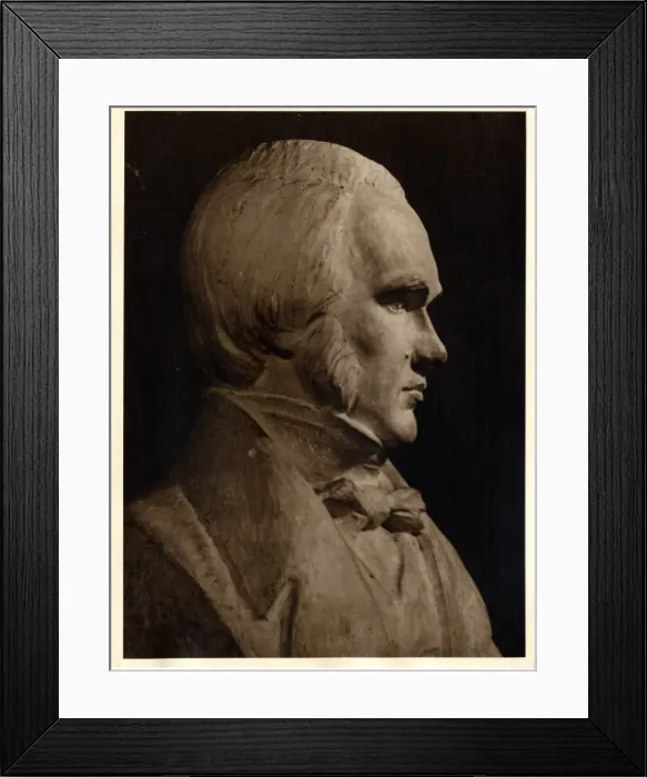 Framed Print : Charles Robert Darwin (1809-1881) Framed Print : Charles Robert Darwin (1809-1881)