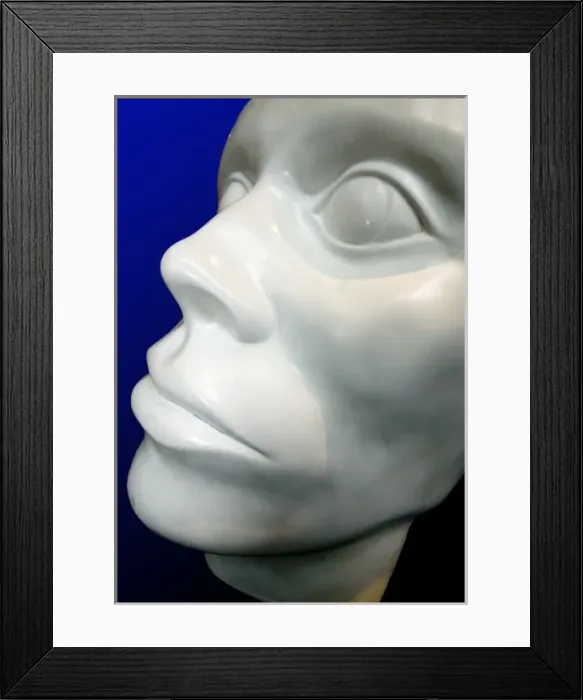 Framed Print : Exhibit from the Human Biology gallery Framed Print : Exhibit from the Human Biology gallery