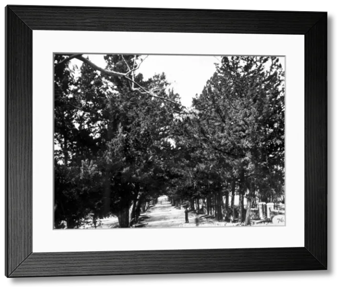 Framed Print : Cedar Avenue, Hamilton, Bermuda 1873 Framed Print : Cedar Avenue, Hamilton, Bermuda 1873