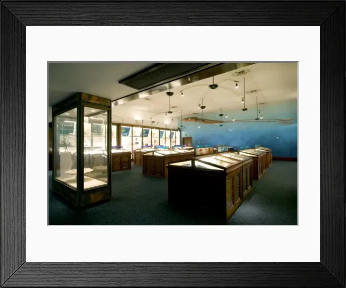 Framed Print : Marine Invertebrates Framed Print : Marine Invertebrates