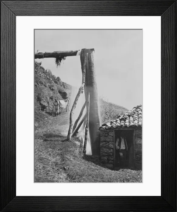 Framed Print : A country road, Madeira, Portugal Framed Print : A country road, Madeira, Portugal