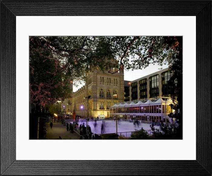 Framed Print : The ice rink at the Natural History Museum, London Framed Print : The ice rink at the Natural History Museum, London