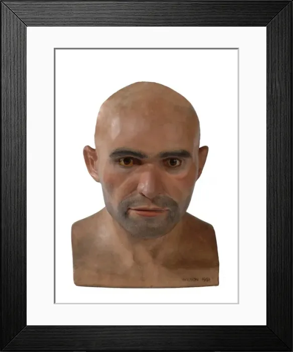 Framed Print : Homo sapiens, Cro-Magnon man Framed Print : Homo sapiens, Cro-Magnon man