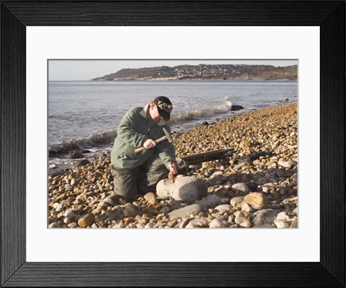 Framed Print : Excavating at Charmouth Framed Print : Excavating at Charmouth