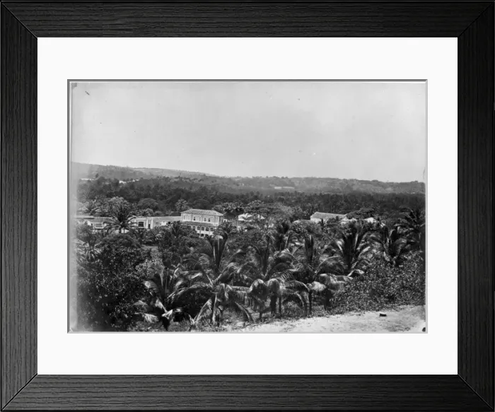 Framed Print : Bahia roadside view, Brazil, South America 1873 Framed Print : Bahia roadside view, Brazil, South America 1873