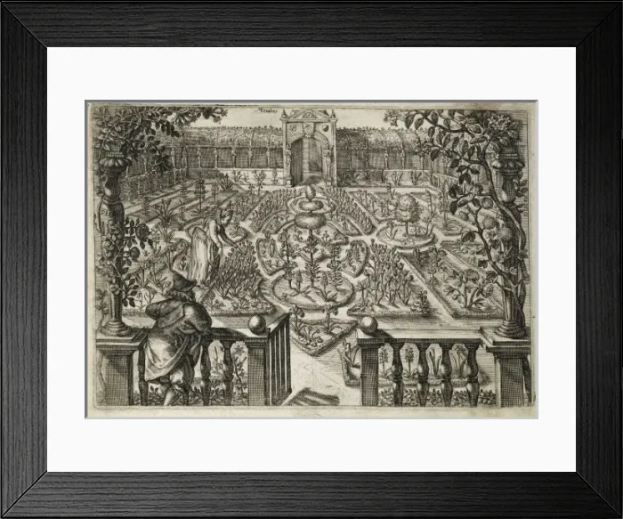 Framed Print : Garden Illustration Framed Print : Garden Illustration