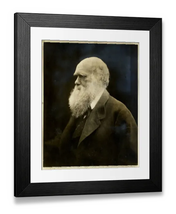 Framed Print : Charles Robert Darwin (1809-1882) Framed Print : Charles Robert Darwin (1809-1882)