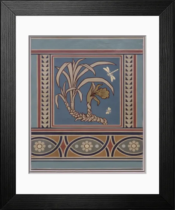 Framed Print : Flower from the Orchidaceae family Framed Print : Flower from the Orchidaceae family