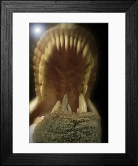 Framed Print : Tyrannosaurus rex Framed Print : Tyrannosaurus rex