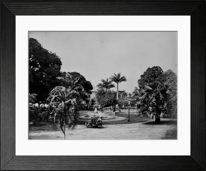 Framed Print : Gardens at Bahia, Brazil, South America 1873 Framed Print : Gardens at Bahia, Brazil, South America 1873