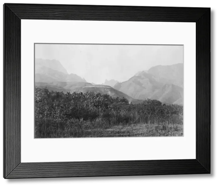 Framed Print : The Diadem, Tahiti, Society Islands, c. 1870 Framed Print : The Diadem, Tahiti, Society Islands, c. 1870