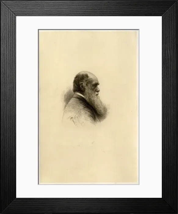 Framed Print : Charles Robert Darwin (1809-1882) Framed Print : Charles Robert Darwin (1809-1882)