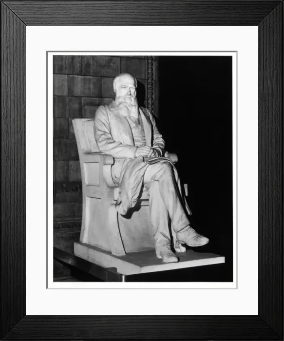 Framed Print : Charles Robert Darwin (1809-1882) Framed Print : Charles Robert Darwin (1809-1882)