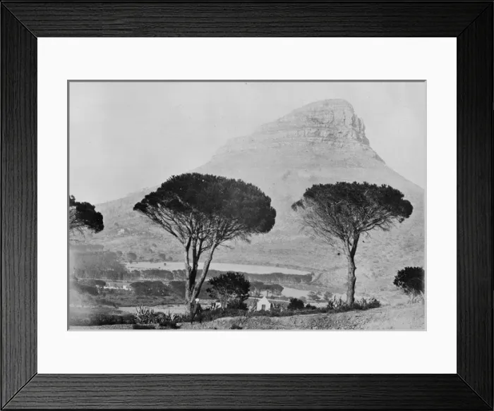 Framed Print : Lions Head, South Africa Framed Print : Lions Head, South Africa