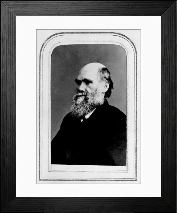 Framed Print : Charles Robert Darwin (1809-1882) Framed Print : Charles Robert Darwin (1809-1882)