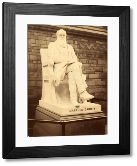 Framed Print : Charles Robert Darwin (1809-1881) Framed Print : Charles Robert Darwin (1809-1881)