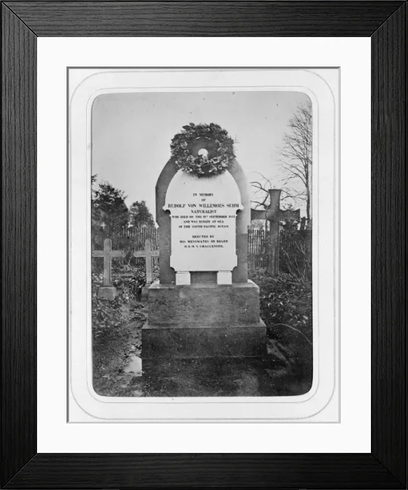 Framed Print : Tomb of Dr. Rudolf von Willemoes-Suhm (1847-1875) Framed Print : Tomb of Dr. Rudolf von Willemoes-Suhm (1847-1875)