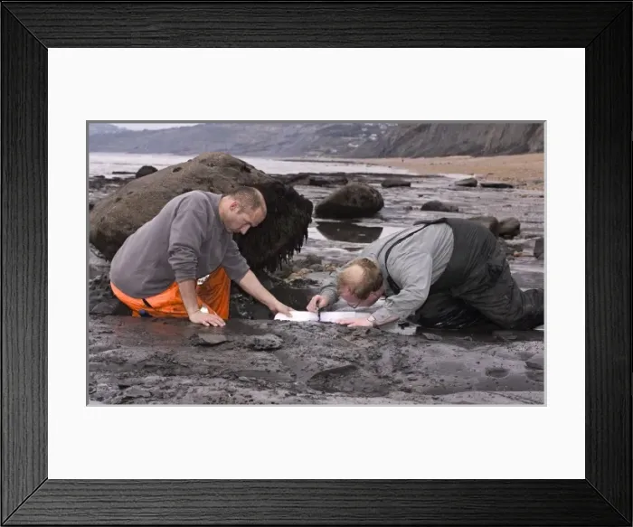 Framed Print : Excavating at Charmouth Framed Print : Excavating at Charmouth