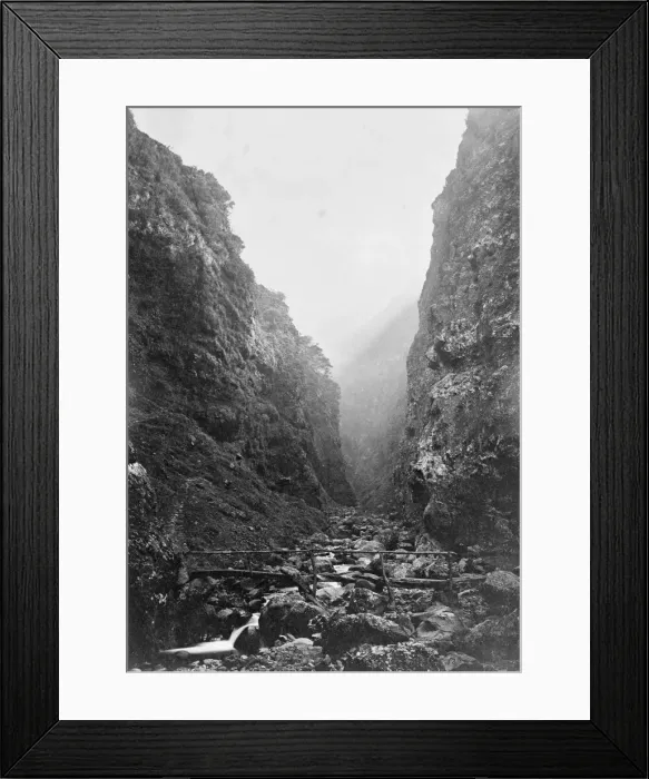 Framed Print : View of Madeira, Portugal, c. 1870 Framed Print : View of Madeira, Portugal, c. 1870