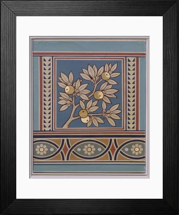 Framed Print : Citrus sp. orange Framed Print : Citrus sp. orange