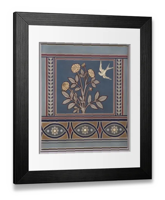 Framed Print : Dahlia hybrid, dahlia Framed Print : Dahlia hybrid, dahlia