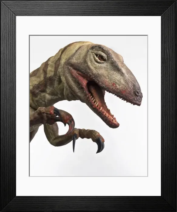 Framed Print : Velociraptor Framed Print : Velociraptor