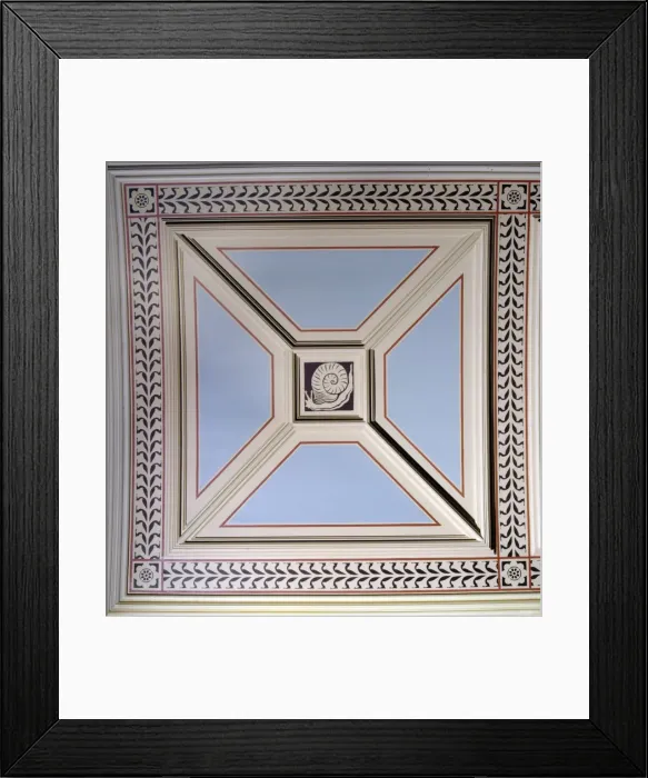 Framed Print : Snail ceiling panel Framed Print : Snail ceiling panel