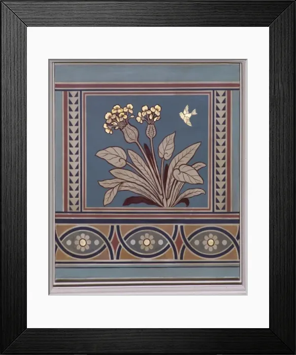 Framed Print : Ottelia cordata Framed Print : Ottelia cordata