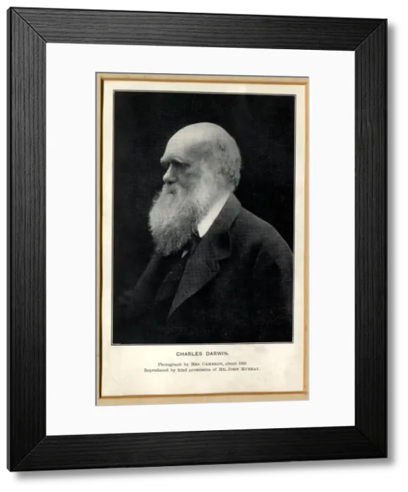 Framed Print : Charles Robert Darwin (1809-1881) Framed Print : Charles Robert Darwin (1809-1881)
