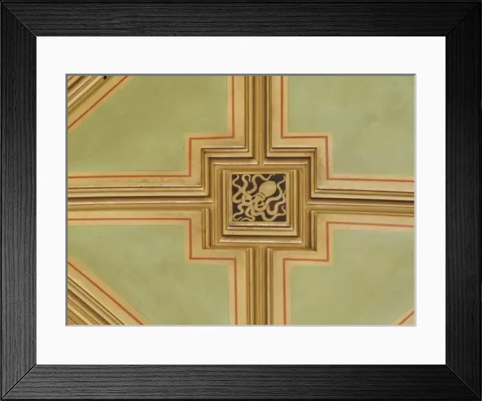 Framed Print : Octopus ceiling panel