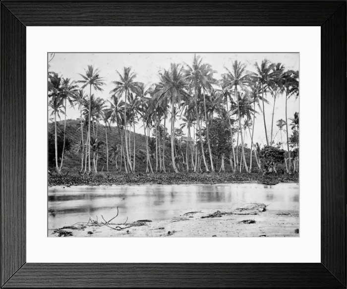 Framed Print : Plantation. Ovalau Island, Fiji Framed Print : Plantation. Ovalau Island, Fiji
