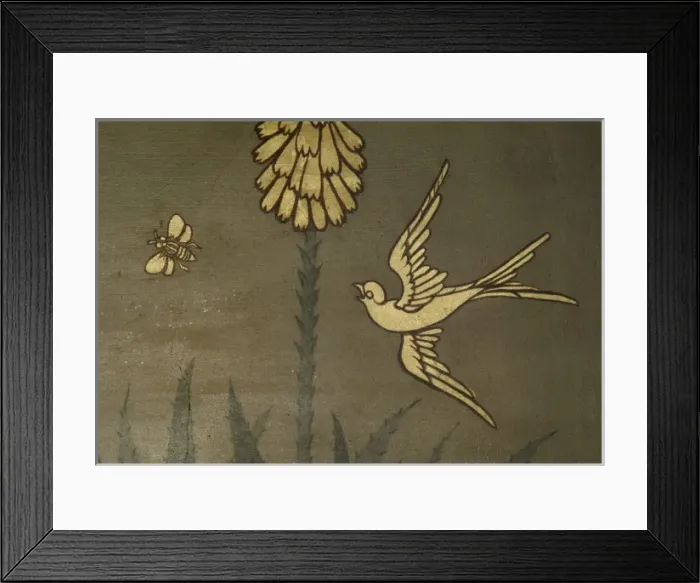 Framed Print : Aloe succotrina, aloe
