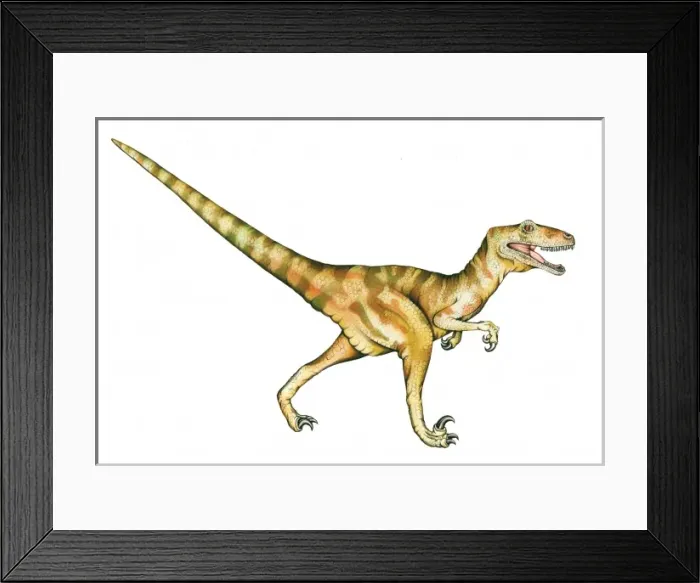 Framed Print : Deinonychus Framed Print : Deinonychus