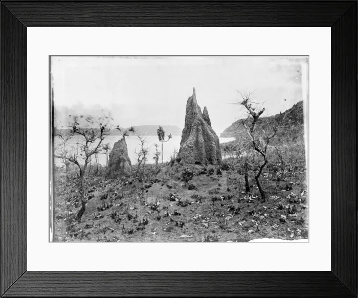 Framed Print : Termite Nests, Cape York, Torres Straits Framed Print : Termite Nests, Cape York, Torres Straits