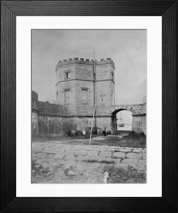 Framed Print : Farm Cove, Sydney, Australia Framed Print : Farm Cove, Sydney, Australia
