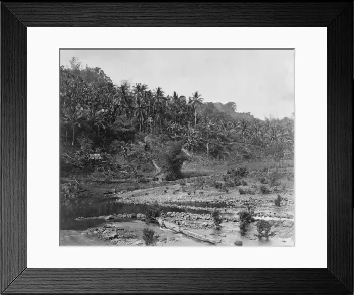 Framed Print : Palm trees. Fiji Framed Print : Palm trees. Fiji