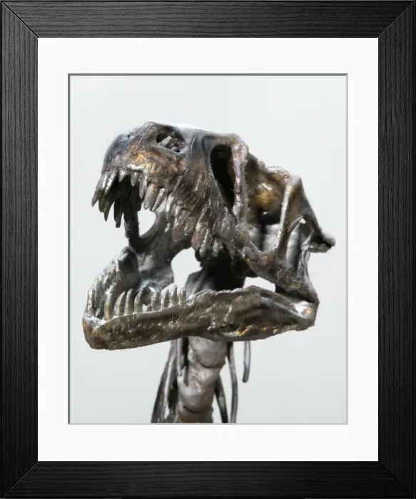 Framed Print : Dromaeosaurus albertensis Framed Print : Dromaeosaurus albertensis
