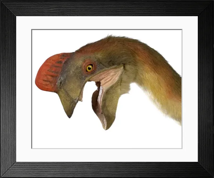 Framed Print : Oviraptor. An animatronic Oviraptor dinosaur made by Kokoro in colabroration Framed Print : Oviraptor. An animatronic Oviraptor dinosaur made by Kokoro in colabroration
