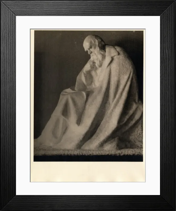 Framed Print : Charles Robert Darwin (1809-1881) Framed Print : Charles Robert Darwin (1809-1881)
