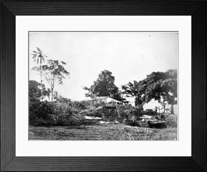 Framed Print : Bahia public gardens, Bahia, Brazil, South America 1873 Framed Print : Bahia public gardens, Bahia, Brazil, South America 1873
