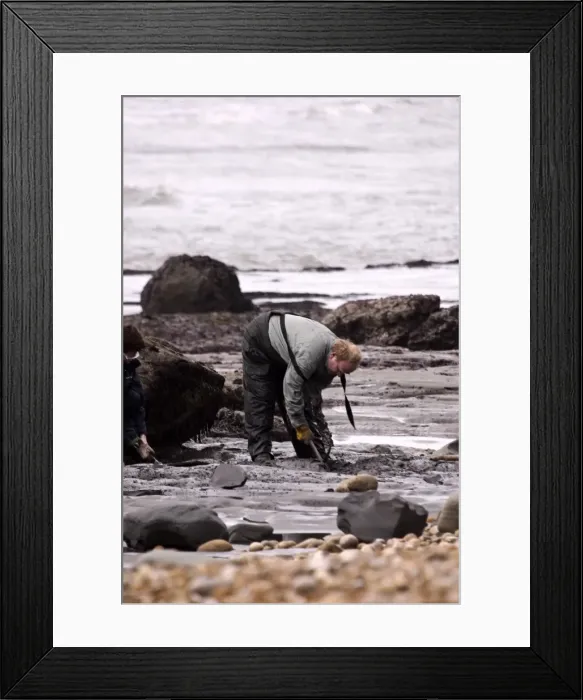 Framed Print : Excavating at Charmouth Framed Print : Excavating at Charmouth