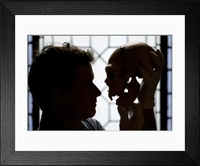 Framed Print : Homo neanderthalensis, neandertal man Framed Print : Homo neanderthalensis, neandertal man
