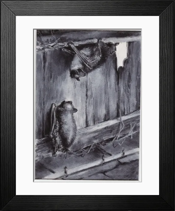 Framed Print : Myotis mystacinus, whiskered bat Framed Print : Myotis mystacinus, whiskered bat